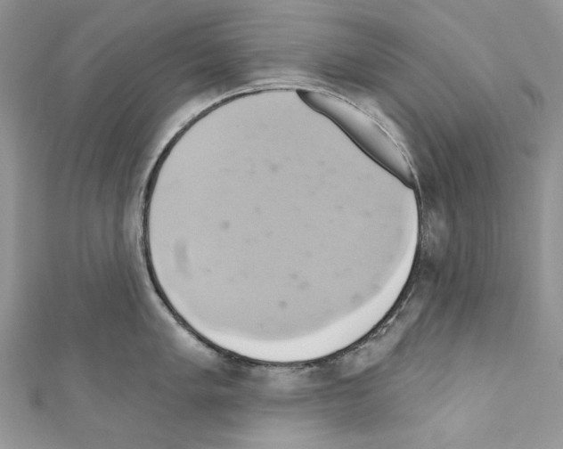 X0000110681005200907241039