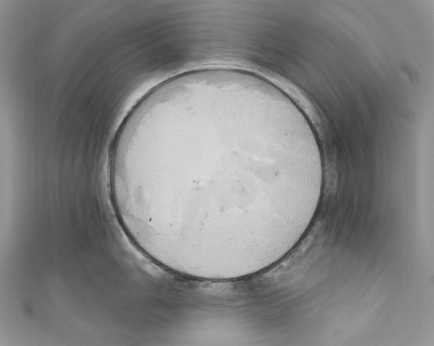 X0000110681006200907241039