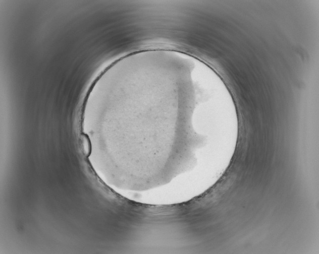 X0000110681008200907241039