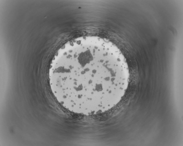 X0000110681009200907241039