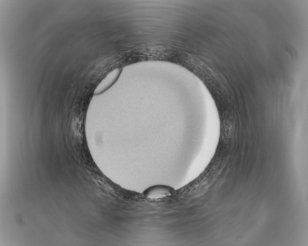 X0000110681010200907241039
