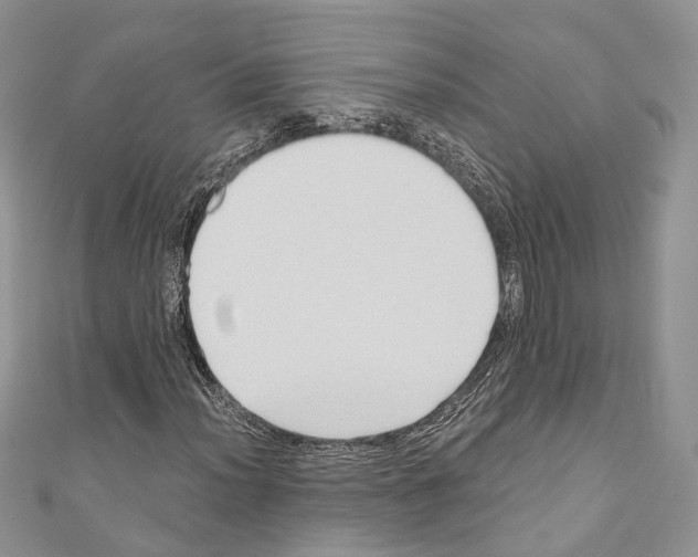 X0000110681012200907241039
