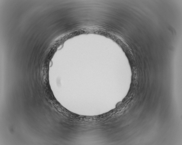 X0000110681016200907241039