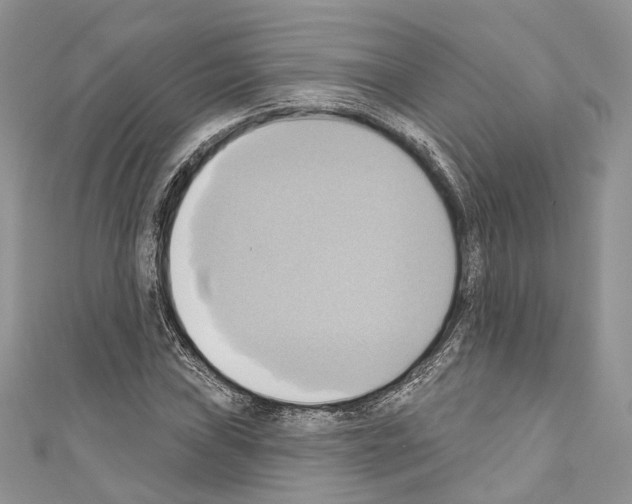 X0000110681019200907241039