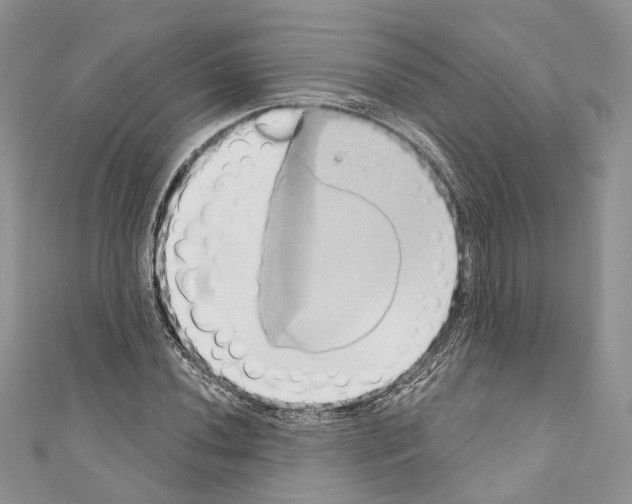 X0000110681020200907241039