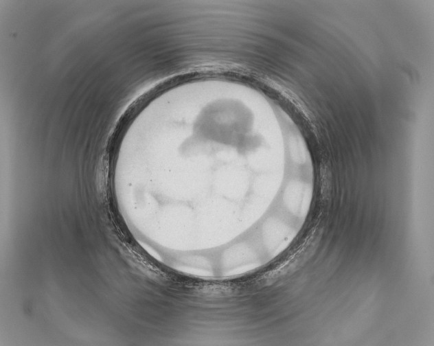 X0000110681021200907241039