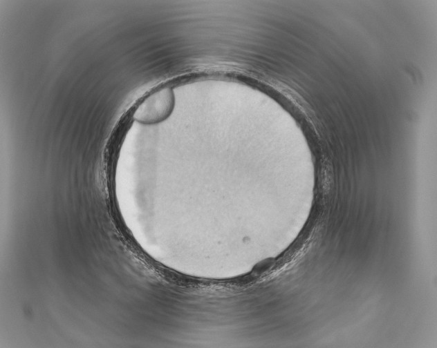 X0000110681022200907241039