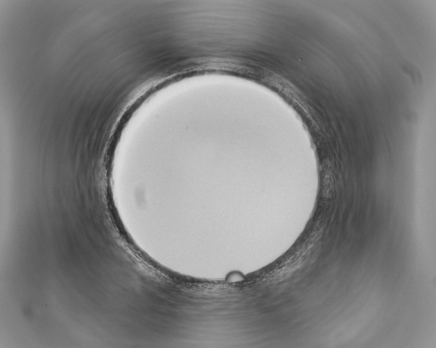 X0000110681024200907241039