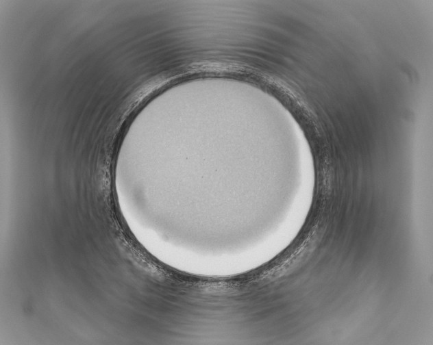 X0000110681025200907241039