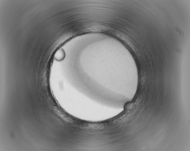 X0000110681026200907241039