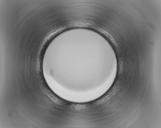X0000110681027200907241039