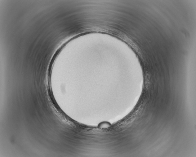 X0000110681028200907241039