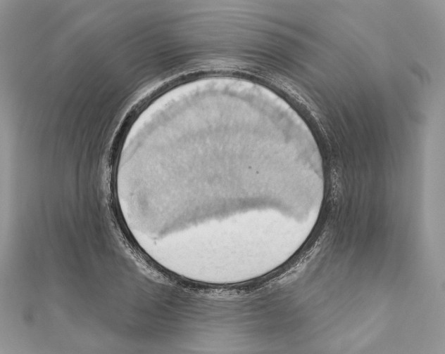X0000110681029200907241039