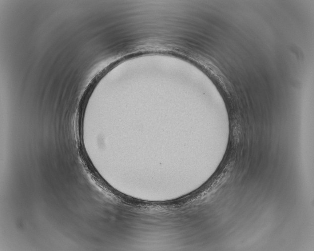 X0000110681030200907241039