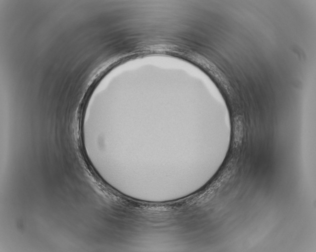 X0000110681031200907241039