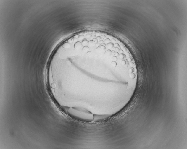 X0000110681032200907241039