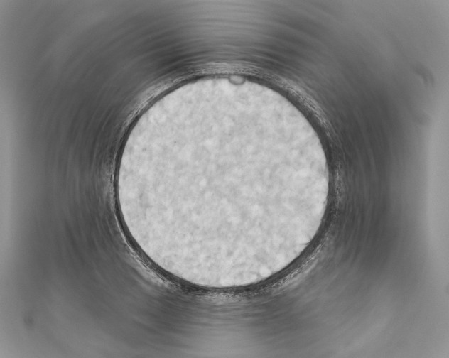 X0000110681033200907241039