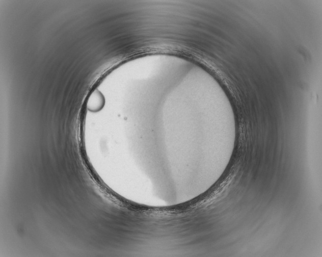 X0000110681034200907241039