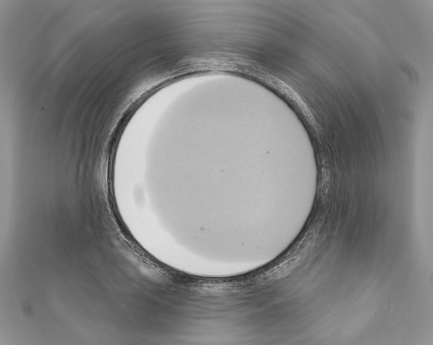 X0000110681035200907241039