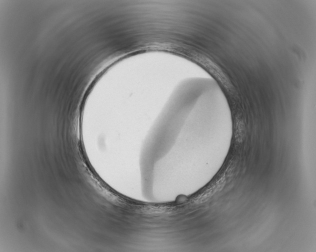 X0000110681036200907241039