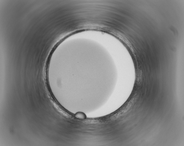 X0000110681037200907241039
