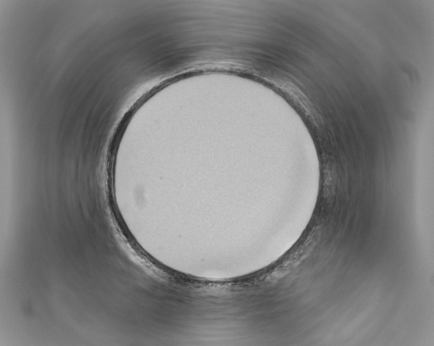 X0000110681038200907241039