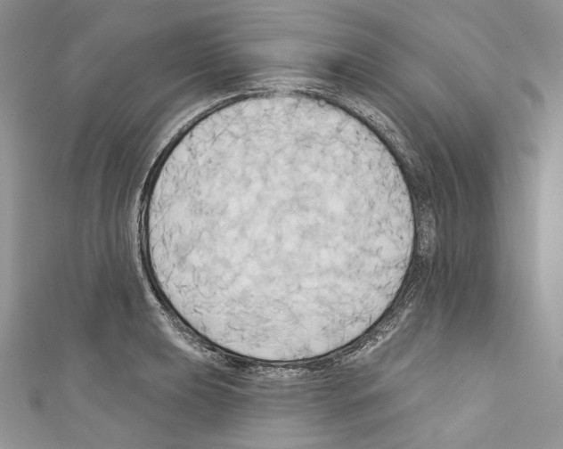 X0000110681039200907241039