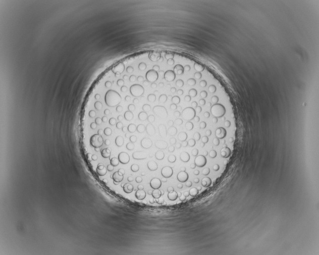 X0000110681040200907241039