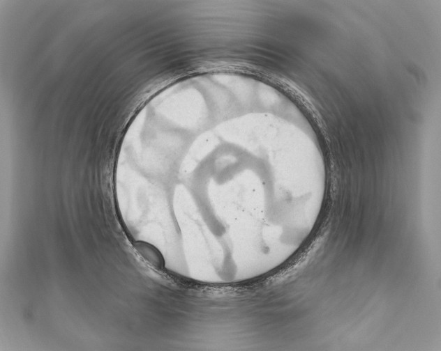X0000110681041200907241039