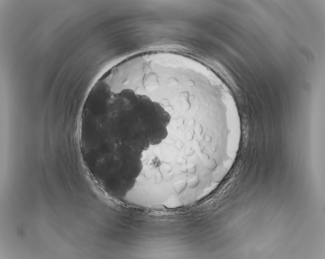 X0000110681044200907241039