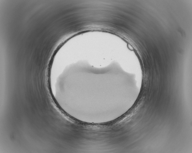 X0000110681045200907241039