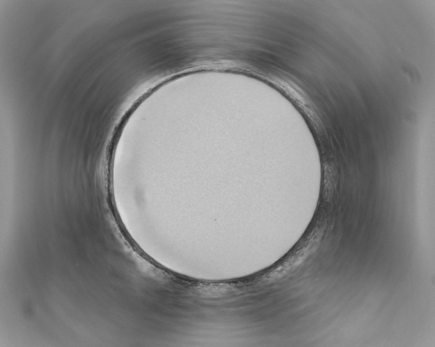 X0000110681046200907241039