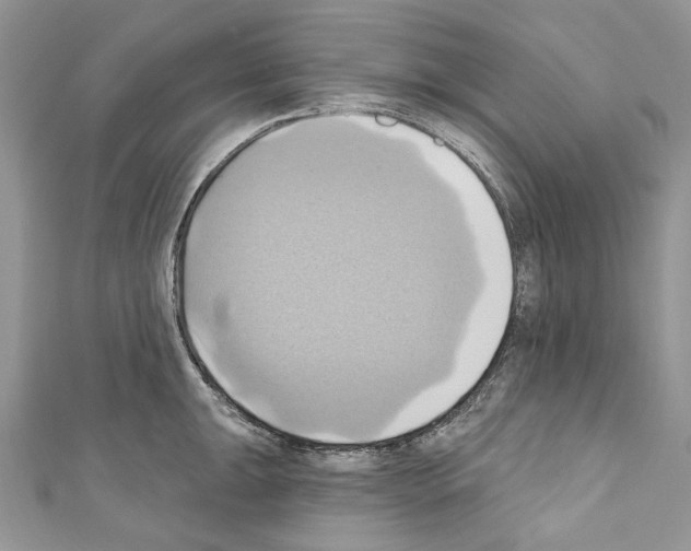 X0000110681047200907241039