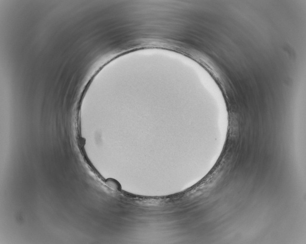 X0000110681048200907241039