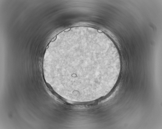 X0000110681049200907241039