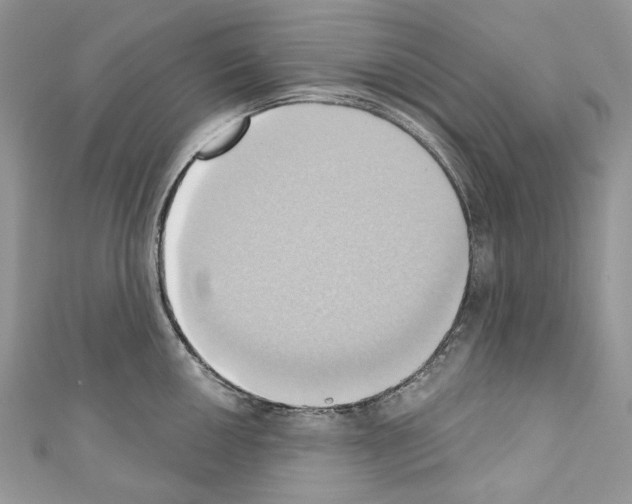 X0000110681050200907241039