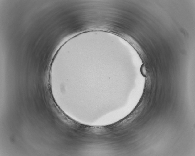 X0000110681052200907241039