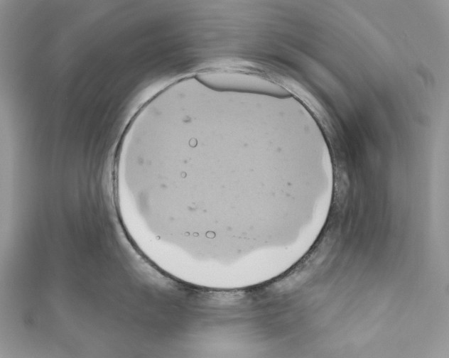 X0000110681055200907241039