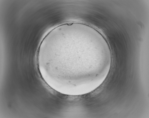 X0000110681056200907241039