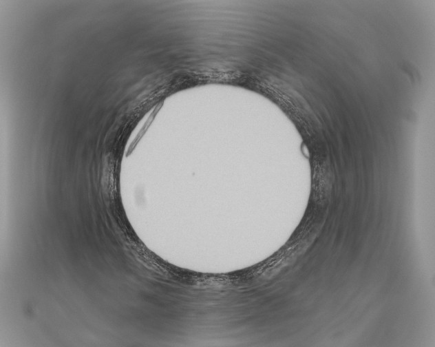 X0000110681058200907241039