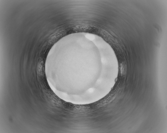 X0000110681059200907241039