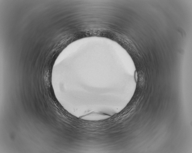 X0000110681060200907241039