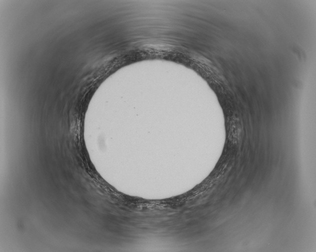 X0000110681061200907241039