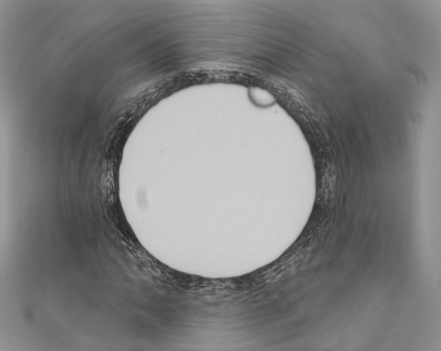 X0000110681062200907241039