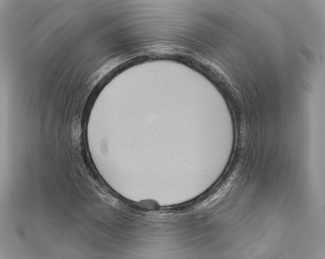X0000110681065200907241039