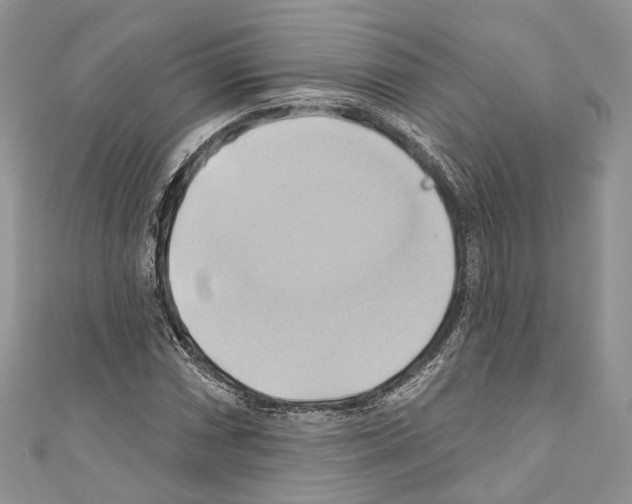 X0000110681066200907241039