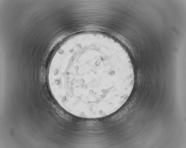 X0000110681067200907241039