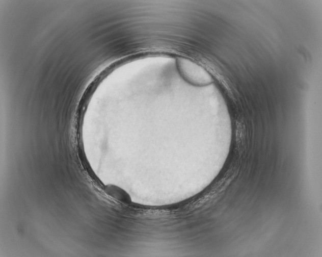 X0000110681068200907241039