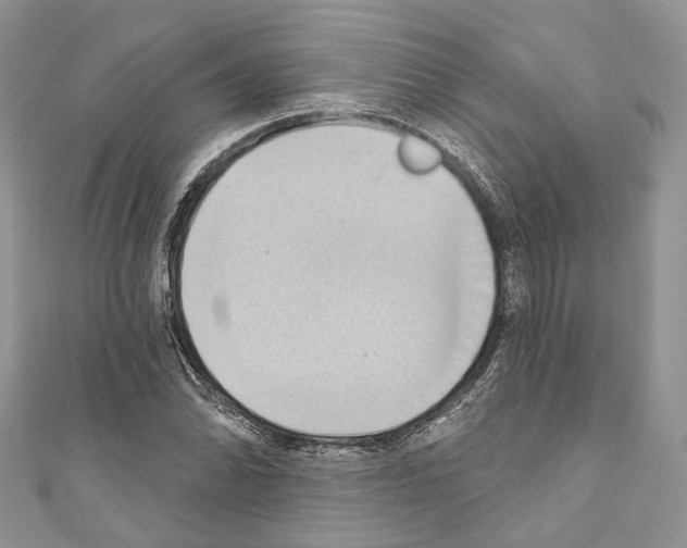 X0000110681070200907241039