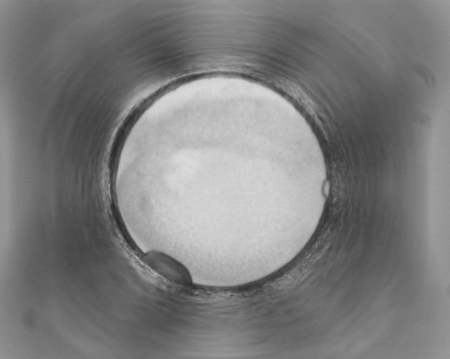 X0000110681072200907241038